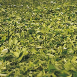茶葉烘干
